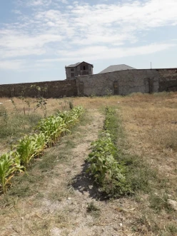 Satılır torpaq sahəsi 15 sot, Sabunçu-13 Satılır torpaq sahəsi 15 sot, Sabunçu-13