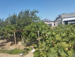 Satılır torpaq sahəsi 6 sot,  Ramana-3