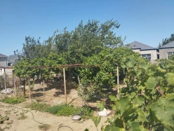 Satılır torpaq sahəsi 6 sot,  Ramana-4