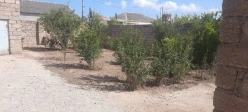 Satılır bağ evi 80 m², Mərdəkan q.-9