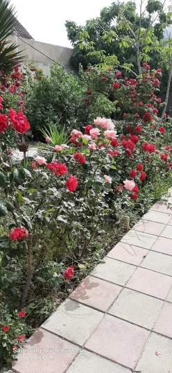 Satılır ev/villa 4 otaqlı 121 m²,  Hövsan-23