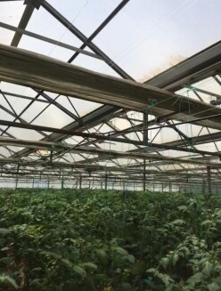 Satılır obyekt 1500 m²,  Türkan-9