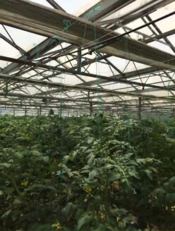 Satılır obyekt 1500 m²,  Türkan-11