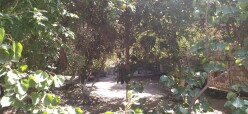 Satılır torpaq sahəsi 5 sot,  Bakıxanov-14