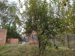 Satılır torpaq sahəsi 4 sot,  İsmayıllı-8