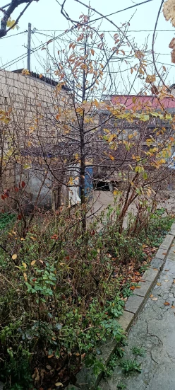 Satılır bağ evi 100 m², Sumqayıt-5 Satılır bağ evi 100 m², Sumqayıt-5