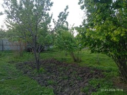 Satılır torpaq sahəsi 40 sot, İsmayıllı-6 Satılır torpaq sahəsi 40 sot, İsmayıllı-6