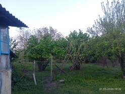 Satılır torpaq sahəsi 40 sot, İsmayıllı-11 Satılır torpaq sahəsi 40 sot, İsmayıllı-11