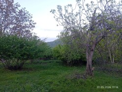 Satılır torpaq sahəsi 40 sot, İsmayıllı-8 Satılır torpaq sahəsi 40 sot, İsmayıllı-8