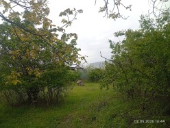 Satılır torpaq sahəsi 40 sot, İsmayıllı-3 Satılır torpaq sahəsi 40 sot, İsmayıllı-3