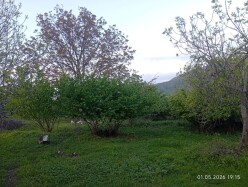 Satılır torpaq sahəsi 40 sot, İsmayıllı-7 Satılır torpaq sahəsi 40 sot, İsmayıllı-7