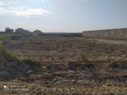 Satılır torpaq sahəsi25 sot, Mərdəkan q.-3