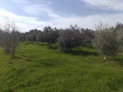 Satılır torpaq sahəsi60 sot, Abşeron r.-4