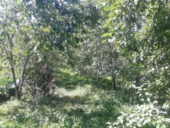 Satılır torpaq sahəsi 14 sot, Quba-2 Satılır torpaq sahəsi 14 sot, Quba-2