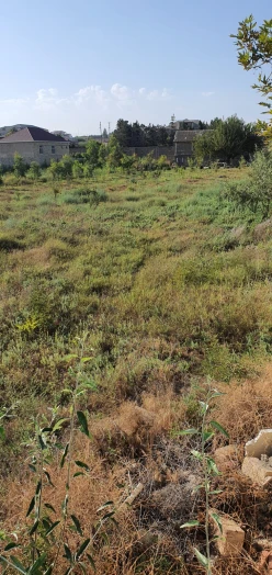 Satılır torpaq sahəsi12 sot, Novxanı q.-5 Satılır torpaq sahəsi12 sot, Novxanı q.-5