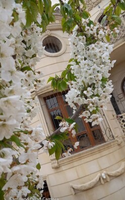 İcarə ev/villa 10 otaqlı 360 m²,  Ramana-2