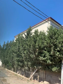 İcarə ev/villa 10 otaqlı 400 m², Hökməli q.-2