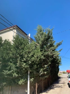 İcarə ev/villa 10 otaqlı 400 m², Hökməli q.-9