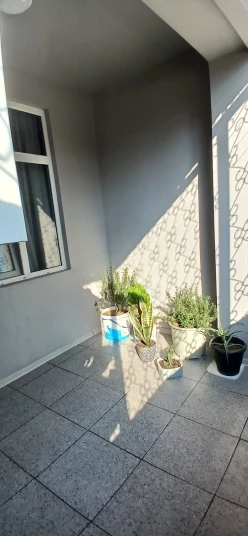 Satılır yeni tikili 4 otaqlı 81 m²,  Bakıxanov-19