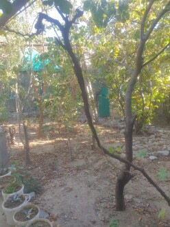 Satılır ev/villa 8 otaqlı 210 m²,  Sulutəpə-21