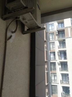 İcarə yeni tikili 2 otaqlı 60 m²,  Gənclik m.-14