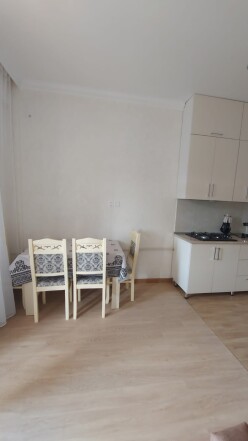 İcarə yeni tikili 2 otaqlı 68 m²,  Bakıxanov-2