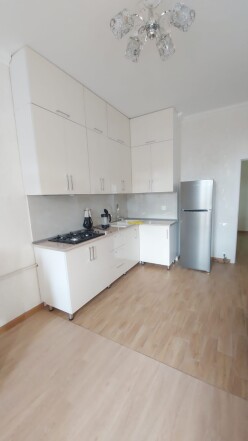 İcarə yeni tikili 2 otaqlı 68 m²,  Bakıxanov-4