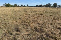 Surakhani, land plot, 100 sot – For Sale