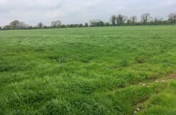 Satılır torpaq sahəsi 100 sot,  Suraxanı-7