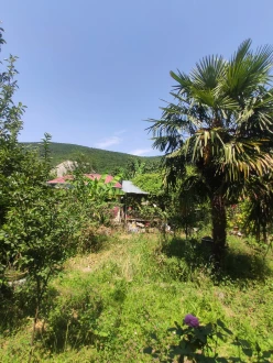 Satılır bağ evi 273 m², Oğuz-10