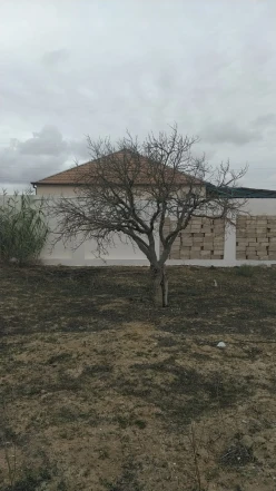 Satılır torpaq sahəsi 12 sot,  Qala-17