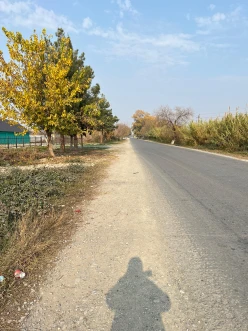 Satılır torpaq sahəsi 64 sot, Göyçay-7 Satılır torpaq sahəsi 64 sot, Göyçay-7