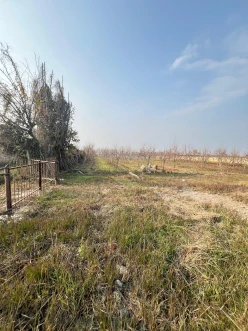 Goychay, land plot, 64 sot – For sale Goychay, land plot, 64 sot – For sale