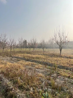 Satılır torpaq sahəsi 64 sot, Göyçay-3 Satılır torpaq sahəsi 64 sot, Göyçay-3