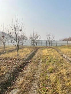 Satılır torpaq sahəsi 64 sot, Göyçay-4 Satılır torpaq sahəsi 64 sot, Göyçay-4