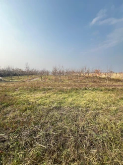 Satılır torpaq sahəsi 64 sot, Göyçay-5 Satılır torpaq sahəsi 64 sot, Göyçay-5