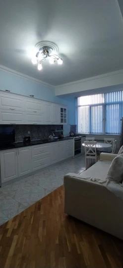 İcarə yeni tikili 2 otaqlı 90 m², Nəriman Nərimanov m.-3