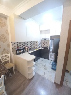İcarə yeni tikili 2 otaqlı 55 m²,  Yasamal-3