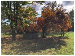 Satılır obyekt 595 m²,  Şəki-5