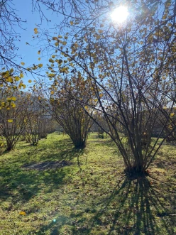 Satılır torpaq sahəsi 7 sot,  Qəbələ-5