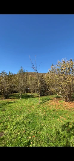 Satılır torpaq sahəsi 7 sot,  Qəbələ-7