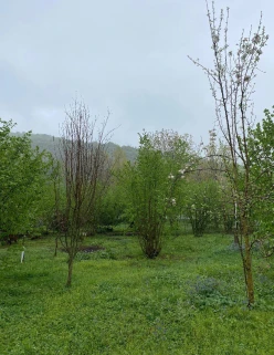 Satılır torpaq sahəsi 7 sot,  Qəbələ-11