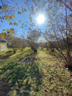 Satılır torpaq sahəsi 7 sot,  Qəbələ-4