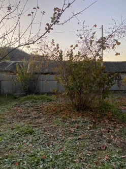 Satılır torpaq sahəsi 7 sot,  Qəbələ-2