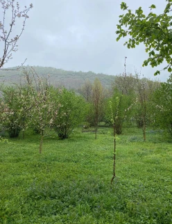 Satılır torpaq sahəsi 7 sot,  Qəbələ-10