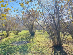 Satılır torpaq sahəsi 7 sot,  Qəbələ-9