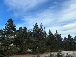 Satılır torpaq sahəsi 13 sot,  Qala-9