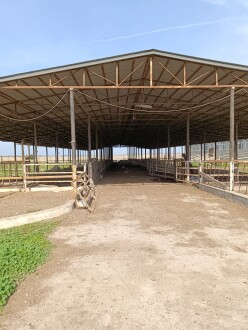 İcarə obyekt 2600 m²,  Məmmədli-3