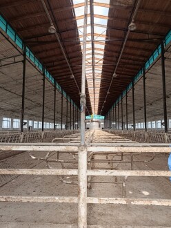 İcarə obyekt 2600 m²,  Məmmədli