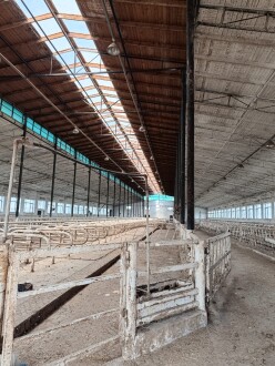 İcarə obyekt 2600 m²,  Məmmədli-2